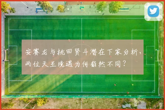 安赛龙与桃田贤斗潜在下家分析,两位天王境遇为何截然不同?