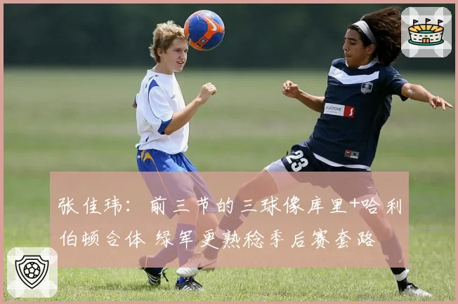 张佳玮：前三节的三球像库里+哈利伯顿合体 绿军更熟稔季后赛套路